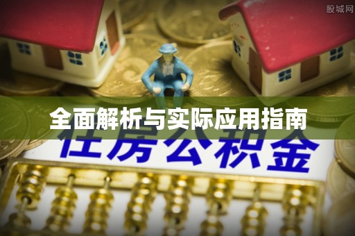 兴庆全面解析与实际应用指南