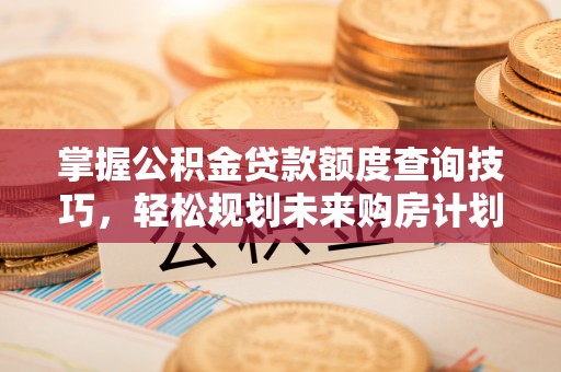 兴庆掌握公积金贷款额度查询技巧，轻松规划未来购房计划