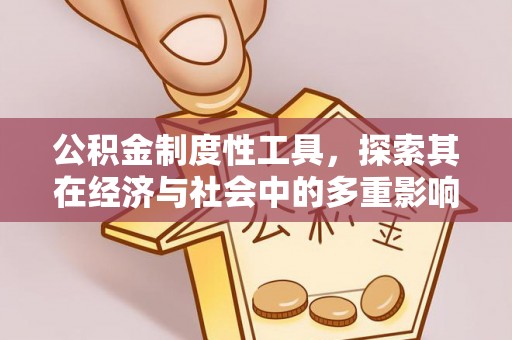 兴庆公积金制度性工具，探索其在经济与社会中的多重影响