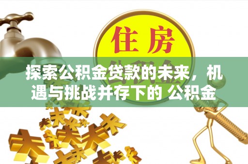 兴庆探索公积金贷款的未来，机遇与挑战并存下的 公积金贷款风险防控