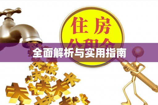 兴庆全面解析与实用指南