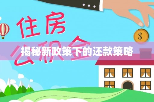 兴庆揭秘新政策下的还款策略