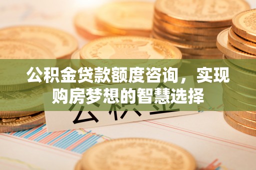 兴庆公积金贷款额度咨询，实现购房梦想的智慧选择