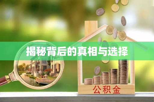 兴庆揭秘背后的真相与选择