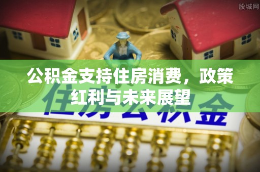 兴庆公积金支持住房消费，政策红利与未来展望