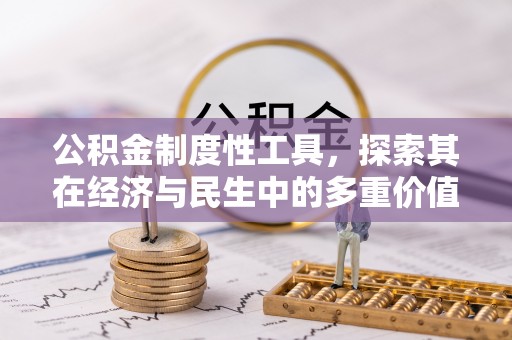 兴庆公积金制度性工具，探索其在经济与民生中的多重价值