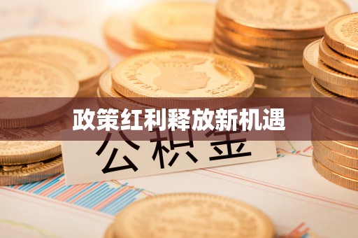 兴庆政策红利释放新机遇