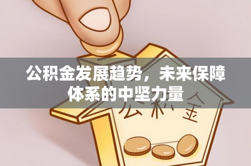 兴庆公积金发展趋势，未来保障体系的中坚力量