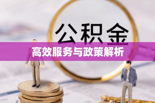 兴庆高效服务与政策解析