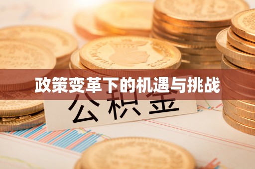 兴庆政策变革下的机遇与挑战