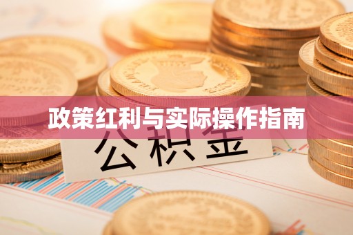 兴庆政策红利与实际操作指南