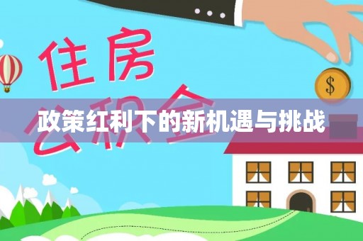 兴庆政策红利下的新机遇与挑战
