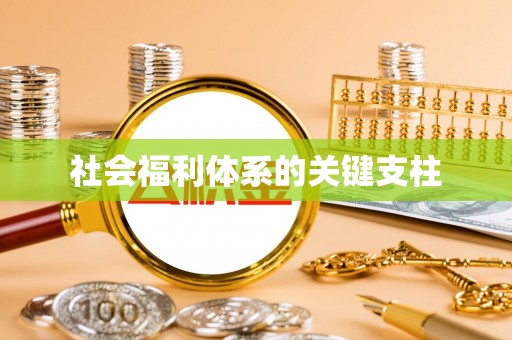 兴庆社会福利体系的关键支柱
