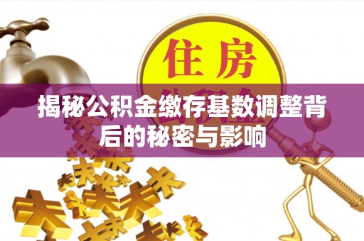 兴庆揭秘公积金缴存基数调整背后的秘密与影响