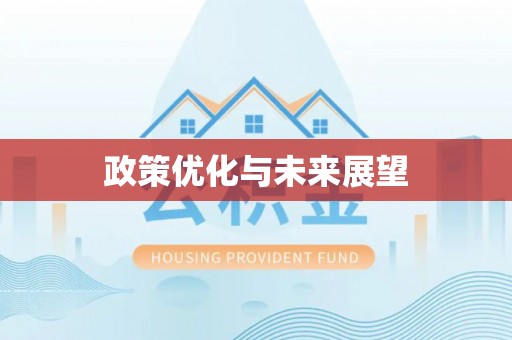 兴庆政策优化与未来展望