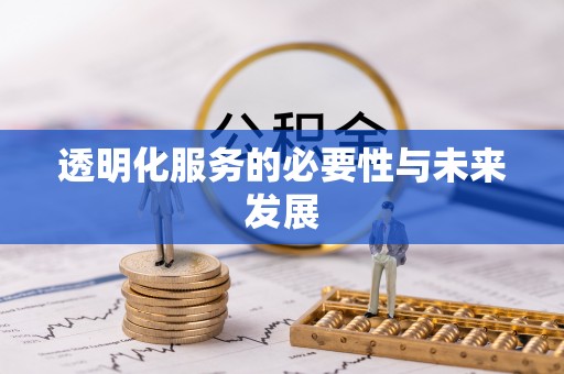 兴庆透明化服务的必要性与未来发展