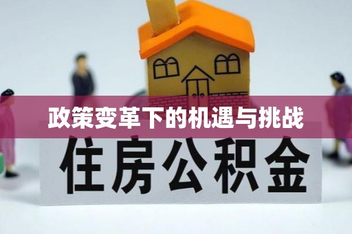 兴庆政策变革下的机遇与挑战