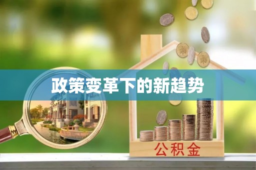 兴庆政策变革下的新趋势