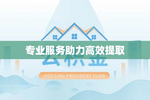 兴庆专业服务助力高效提取