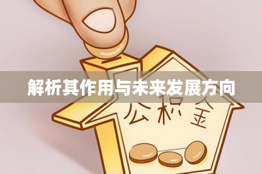 兴庆解析其作用与未来发展方向