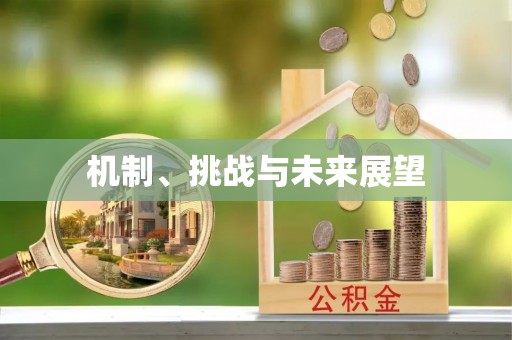 兴庆机制、挑战与未来展望