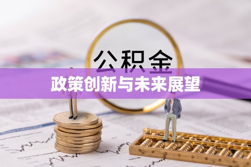 兴庆政策创新与未来展望