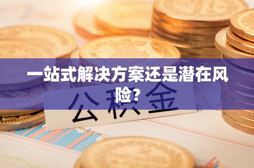 兴庆一站式解决方案还是潜在风险？