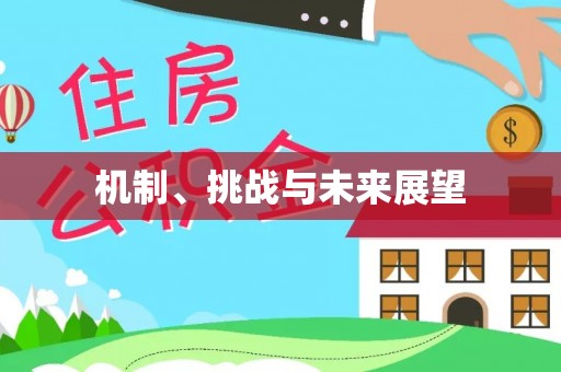兴庆机制、挑战与未来展望